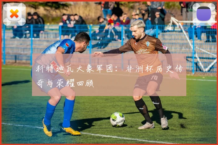 科特迪瓦大象军团：非洲杯历史传奇与荣耀回顾