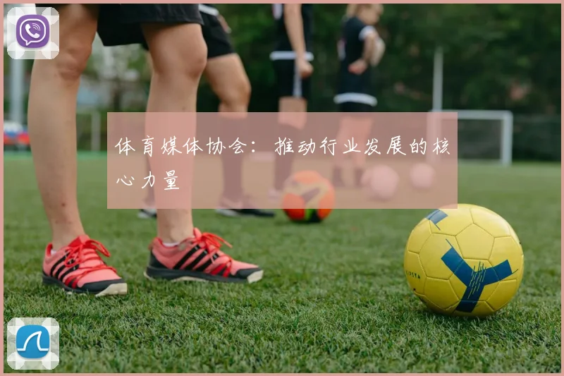 体育媒体协会：推动行业发展的核心力量